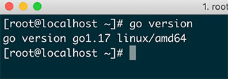 Go-Linux-验证是否安装成功