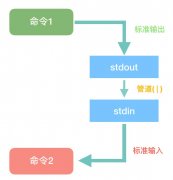 Linux 参数代换 命令 xargs