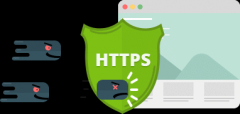HTTP2 教程——HTTP/2 如何与 HTTPS 配合使用