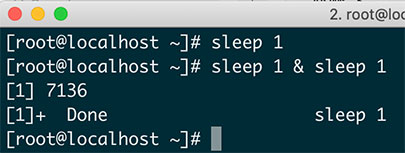 Bash 多线程编程sleep命令