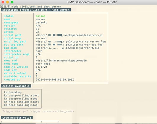 pm2 显示应用程序元数据