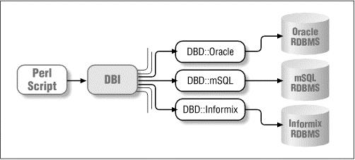 perl db 连接