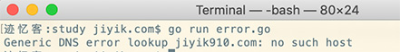 go dnsError 结果