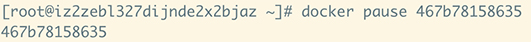 docker pause 暂停容器进程