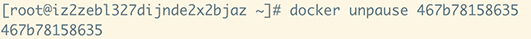 docker unpause 取消暂定的容器进程