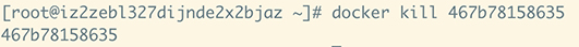 docker kill 容器进程