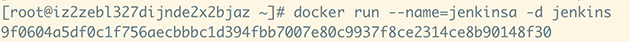 docker run jenkins 容器