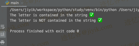 在 Python 中检查字符串中的某个字母