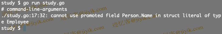 修复 Golang 中的 cannot use promoted field in struct literal of type