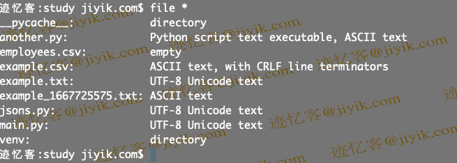 使用 file 命令来弄清楚文件的编码