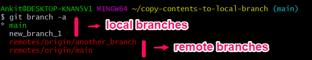 setup repo multiple branches