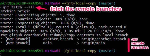 fetch remote branches