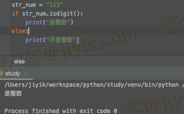 在 Python 中使用isdigit()函数检查字符串是否为整数