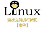 linux应用——查找文件进行拷贝【案例】
