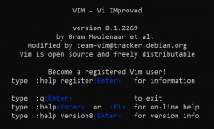 使用 Vi 和 Vim 编辑器打开特定行号的文件