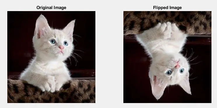 使用 matlab 中的 flip()函数翻转图像