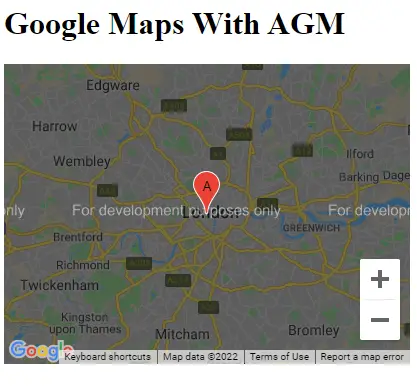 谷歌地图 Angular
