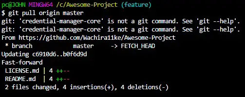 git pull origin master