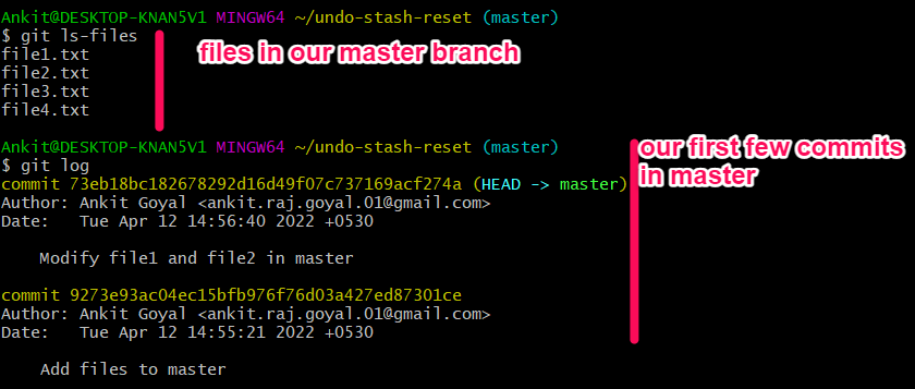 master branch initial setup