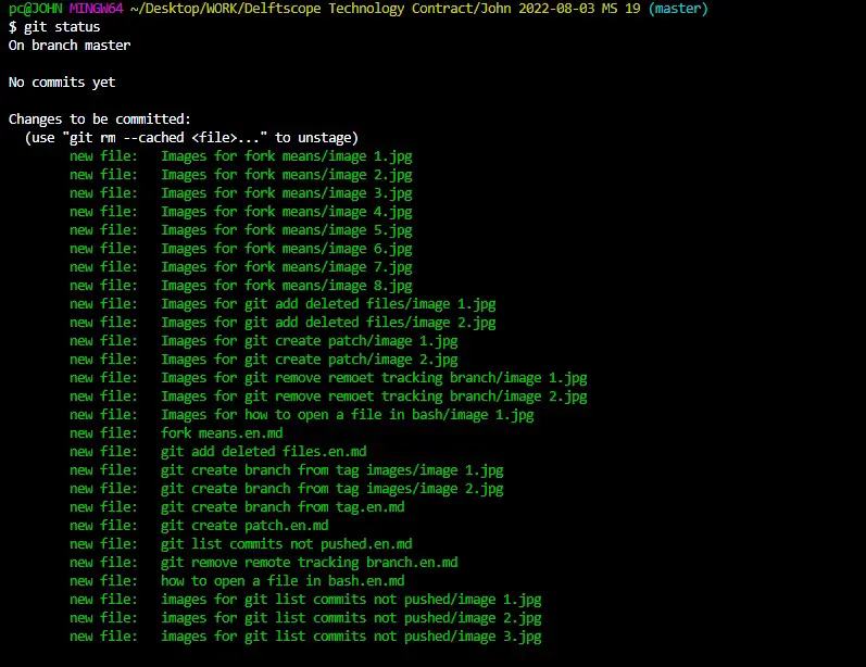 git status check index