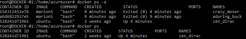 running docker ps a