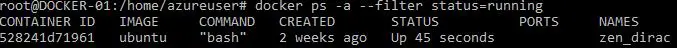 running docker ps a with filter