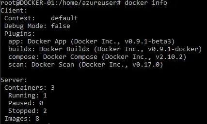 docker info