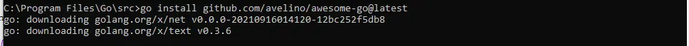 Go Install Command