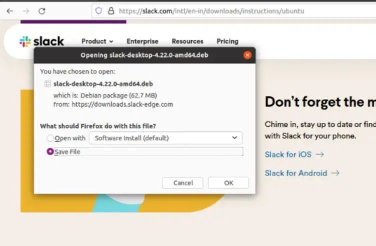 在 Linux 系统上下载 slack .deb 文件