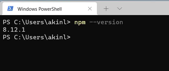 npm version