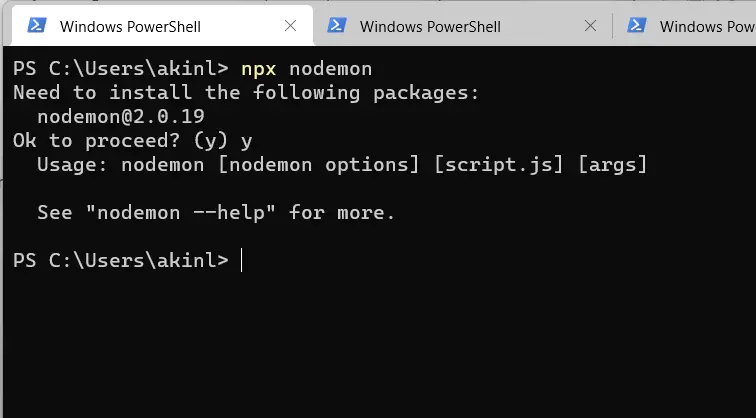 npx nodemon